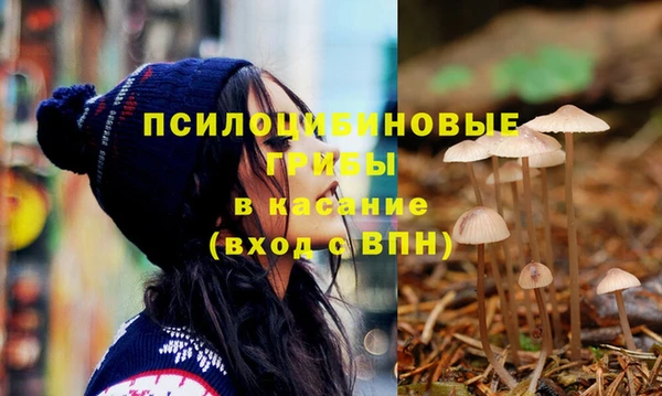 2c-b Новодвинск