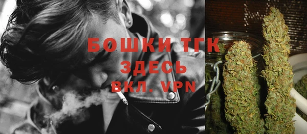 сатива Новокубанск