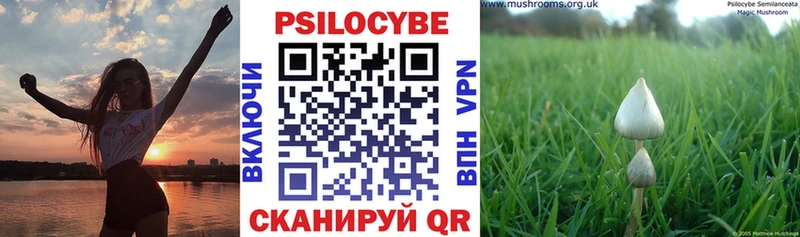 OMG tor  купить наркотик  Сысерть  Псилоцибиновые грибы Cubensis 